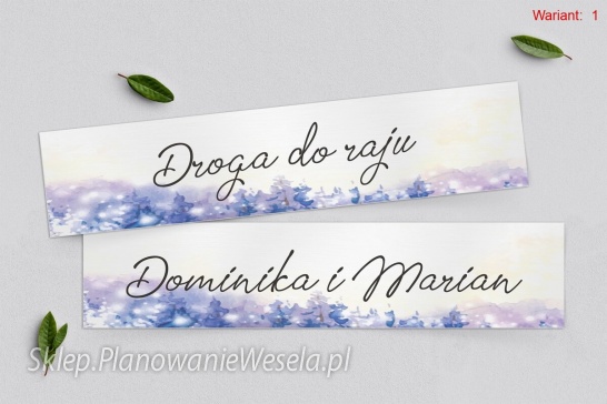 Tablice Rejestracyjne 2 szt. - Gaja