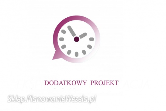 USŁUGA - DODATKOWY PROJEKT